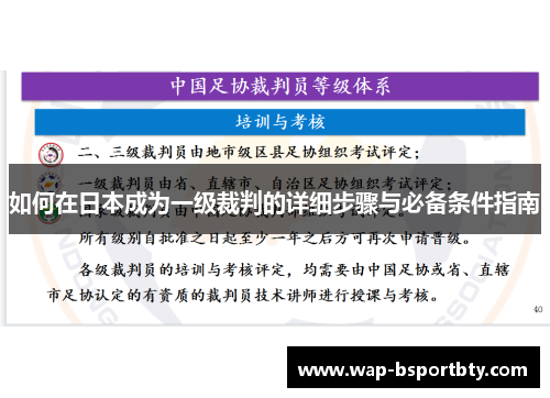 如何在日本成为一级裁判的详细步骤与必备条件指南