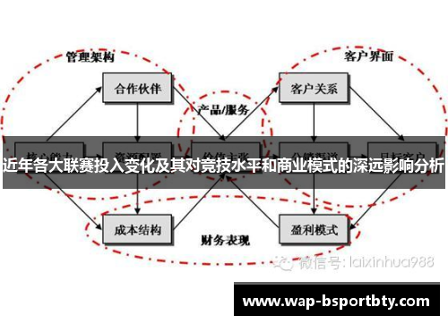 近年各大联赛投入变化及其对竞技水平和商业模式的深远影响分析