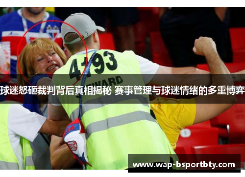 球迷怒砸裁判背后真相揭秘 赛事管理与球迷情绪的多重博弈